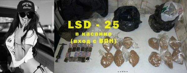 индика Богданович
