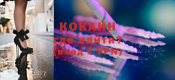 индика Богданович