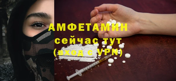 индика Богданович