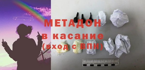 индика Богданович