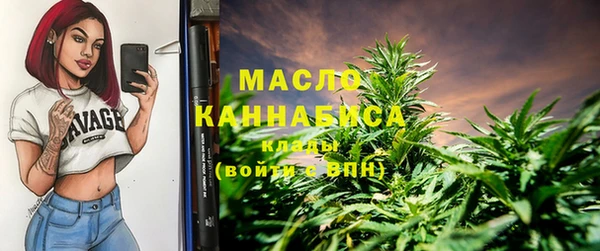 индика Богданович