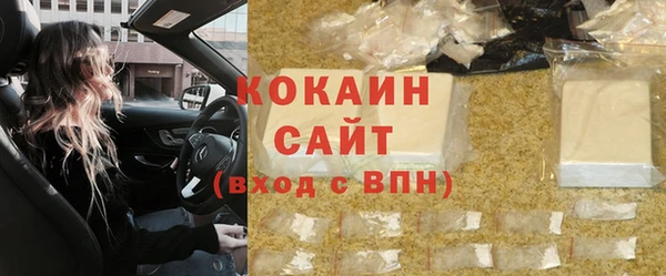 индика Богданович