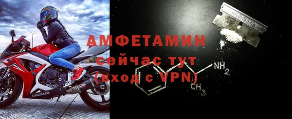 индика Богданович