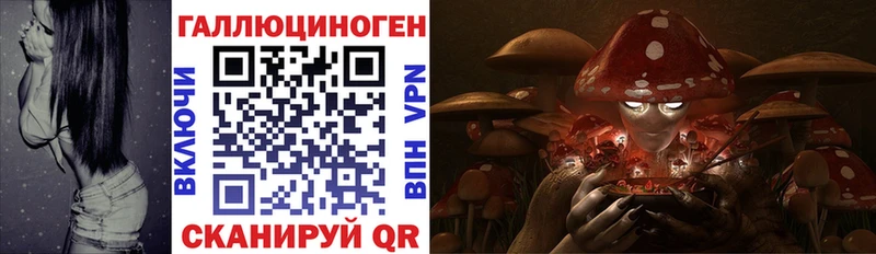 мега как зайти Короча Псилоцибиновые грибы MAGIC MUSHROOMS